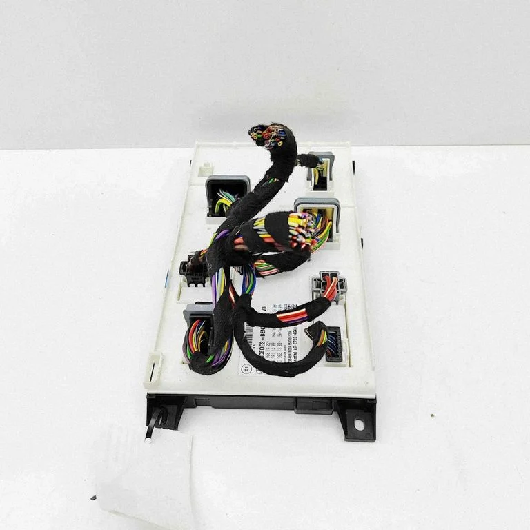 Central body control module A1569011400