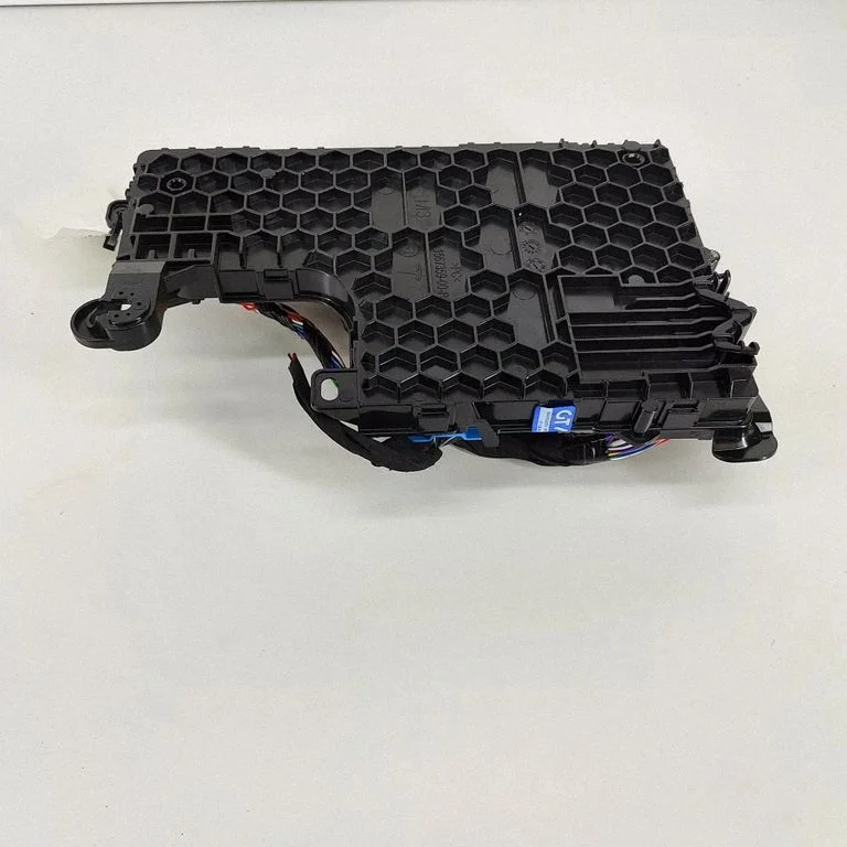 Central body control module – Tesla Model Y (2020-)