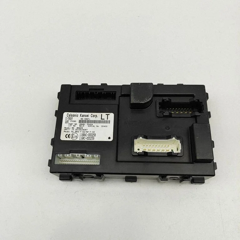 Central body control module 2010DJ4087