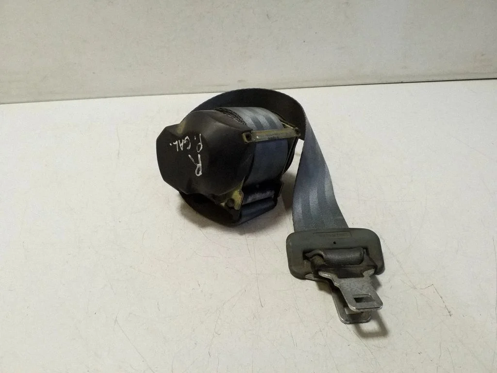 Rear seatbelt 421614F