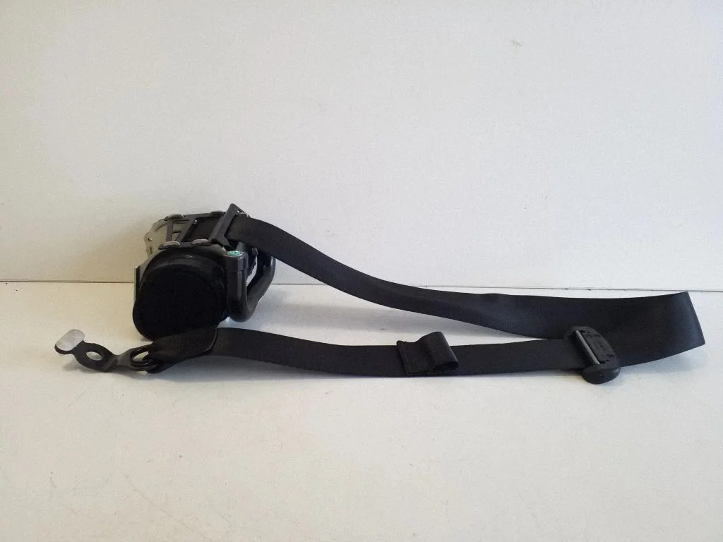 Rear seatbelt 25486008019C94