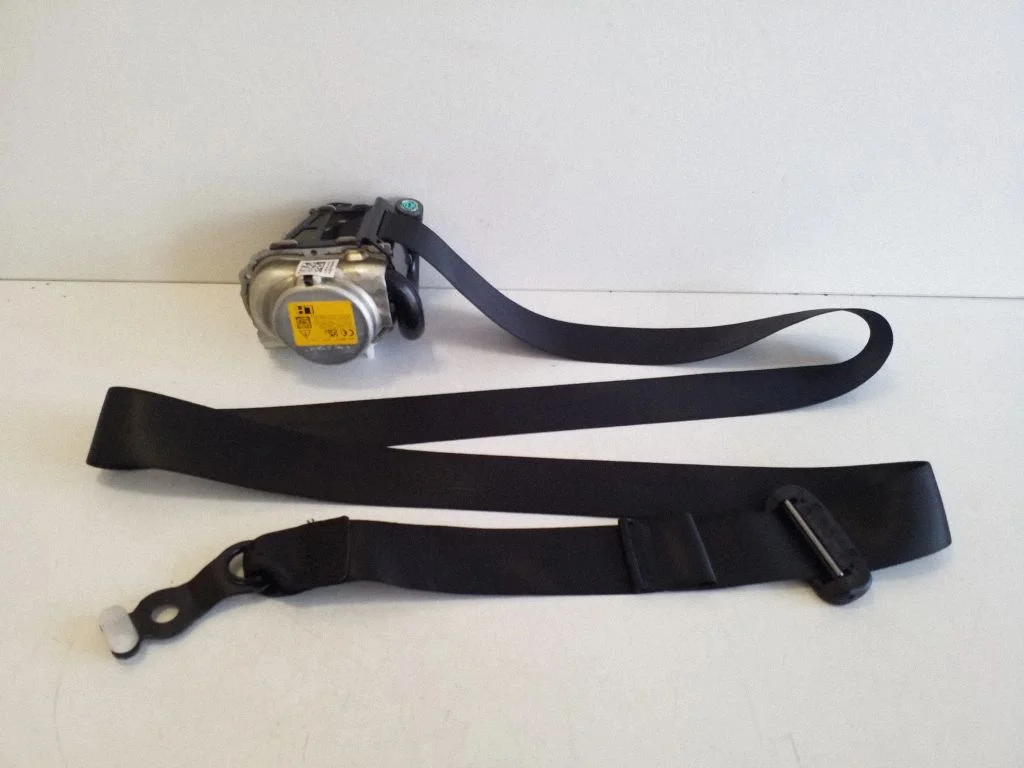 Rear seatbelt 25486006019C94
