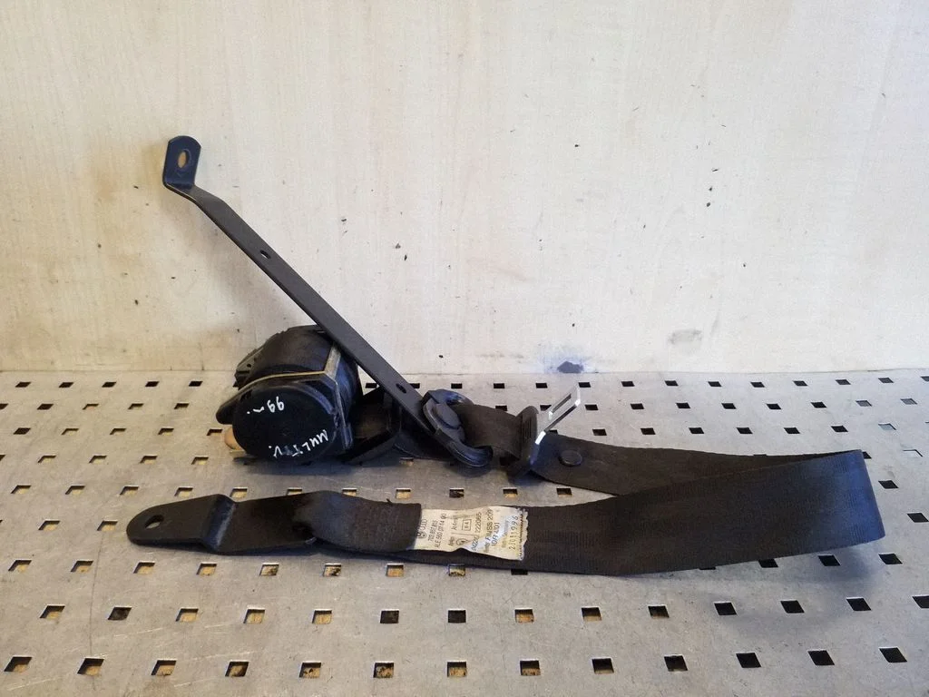 Rear seatbelt 703857815