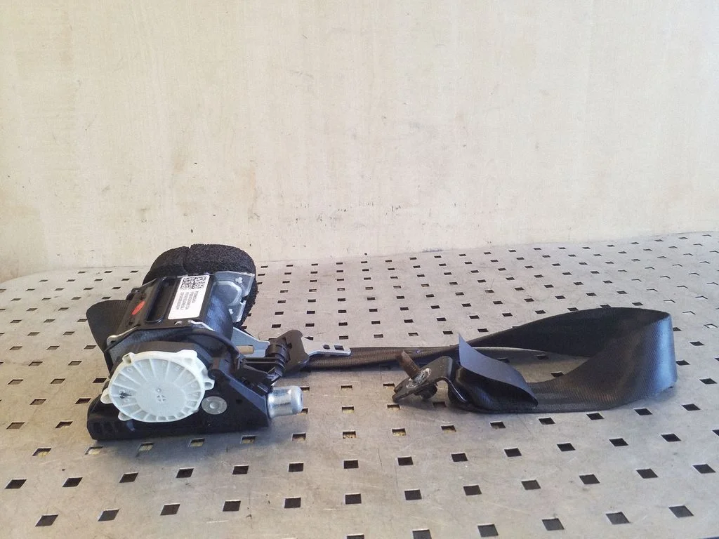 Aizmugurējā drošības josta P039800454