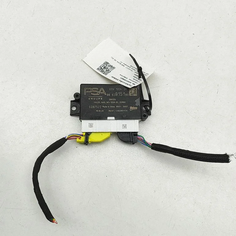 Parkošanās (PDC) sensoru vadības bloks 9863915180