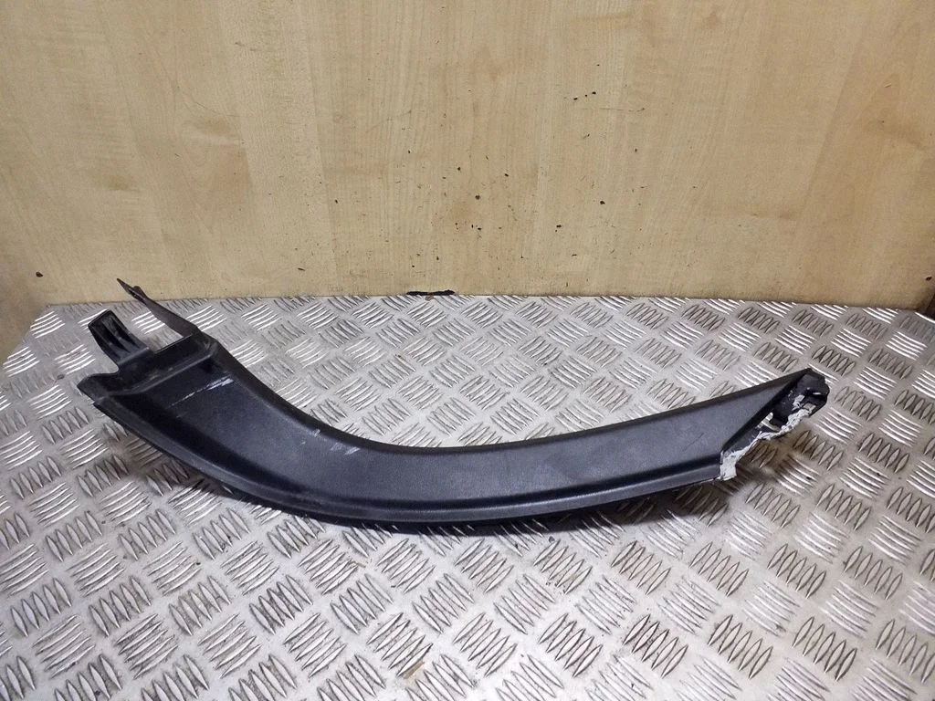 Other trunk/boot trim element 100906600C