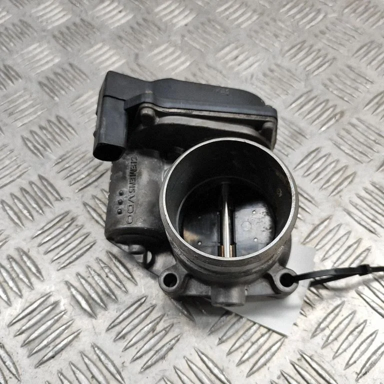 Droseļvārsts – Volkswagen Golf Plus (2005-2013)