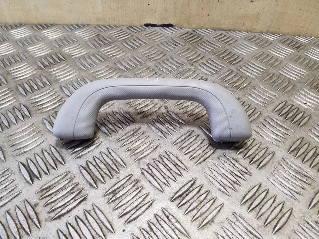 Front interior roof grab handle 810775