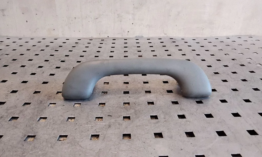Front interior roof grab handle 8200000099