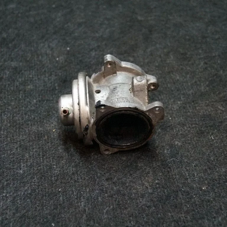 EGR-klapp – Seat Ibiza III (6L) (2002-2008)