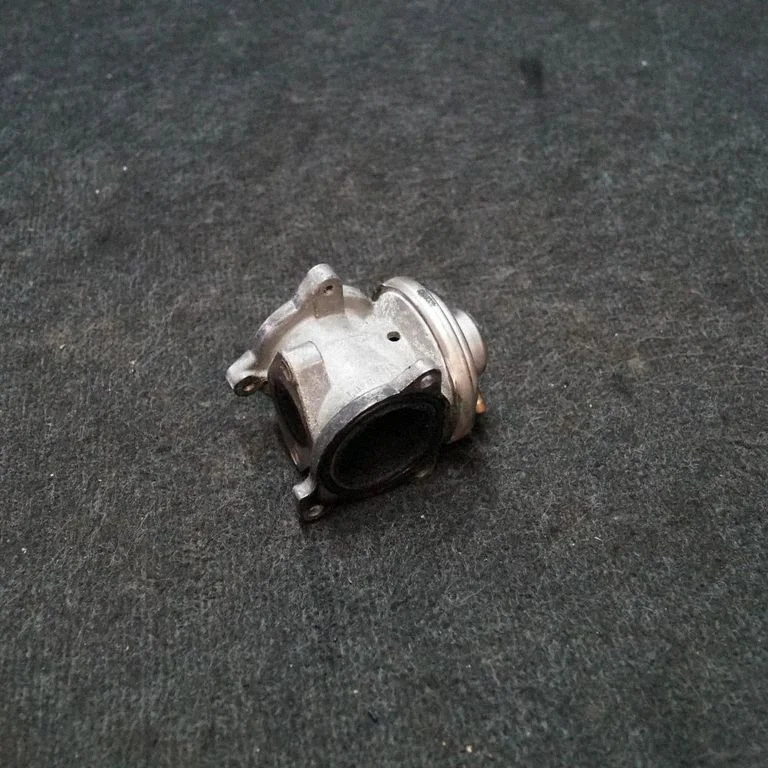 EGR-klapp – Seat Ibiza III (6L) (2002-2008)
