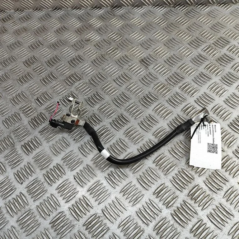 Negative earth cable (battery) A2C7856790