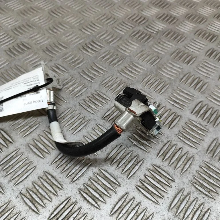 Negative earth cable (battery) 8216308080
