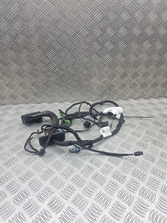 Priekšējo durvju vadu instalācija A2224401307