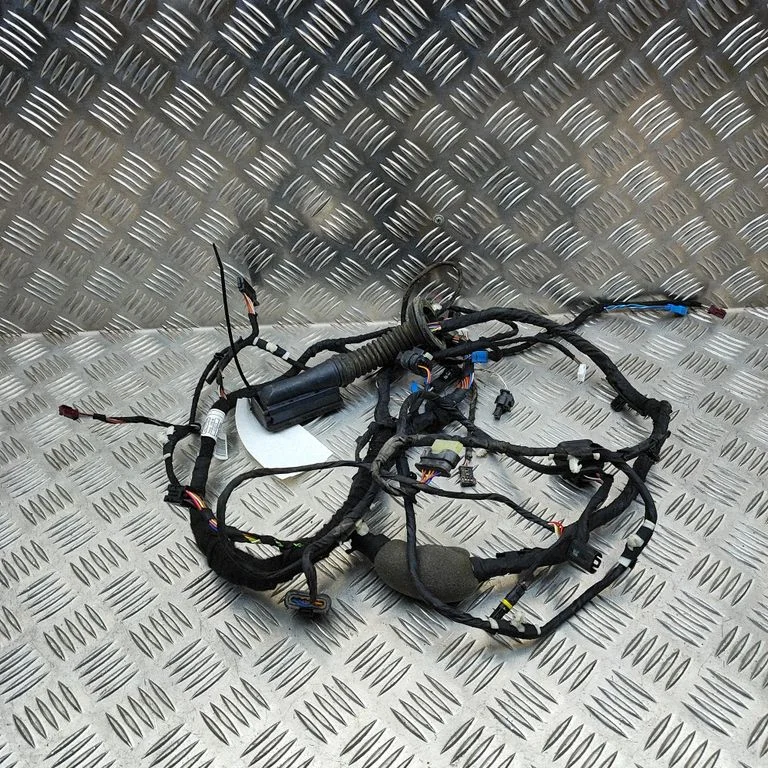 Front door wiring loom 8796338