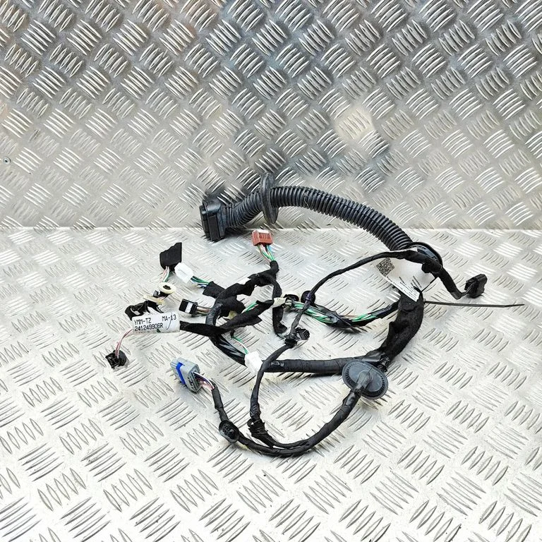 Front door wiring loom 241249906R