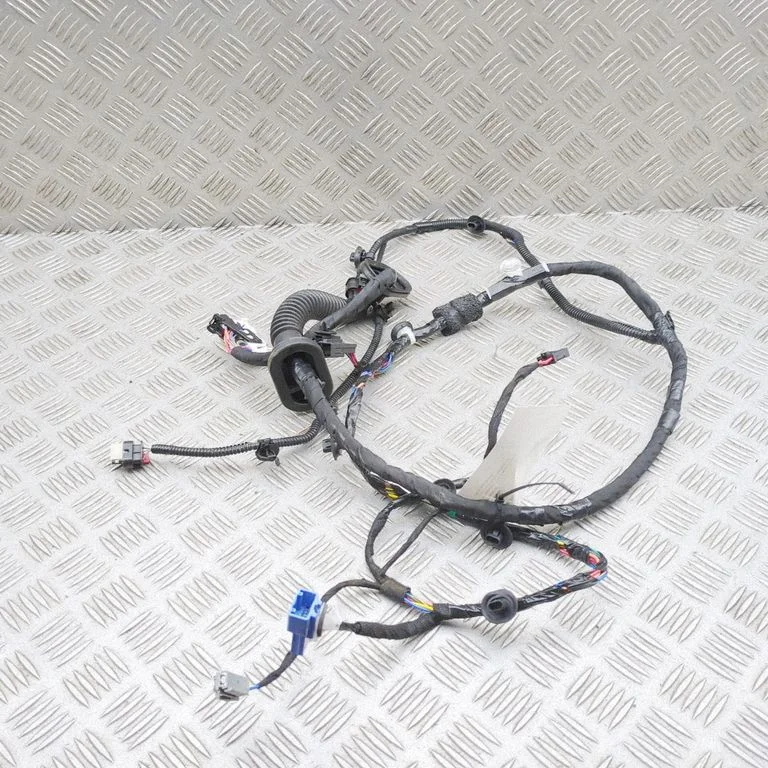 Front door wiring loom 189732202B