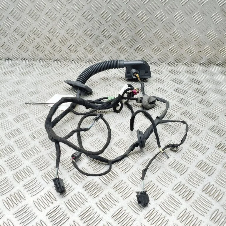 Front door wiring loom A1665461180