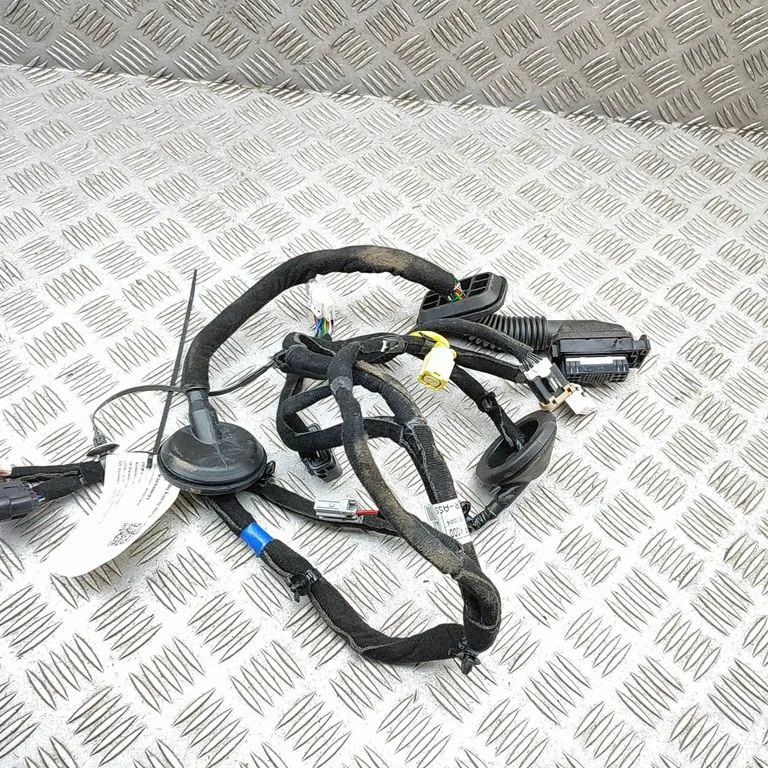 Priekšējo durvju vadu instalācija 91615Q4010