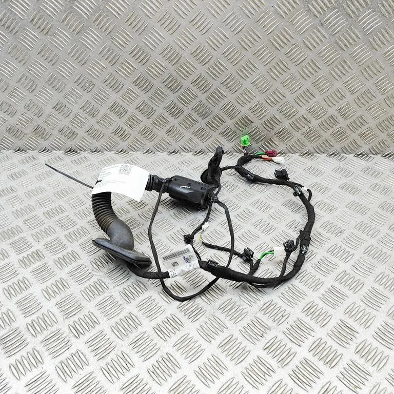 Front door wiring loom A2955405510