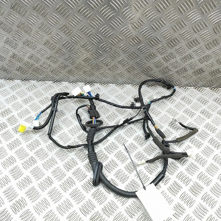 Priekšējo durvju vadu instalācija 81821CC000