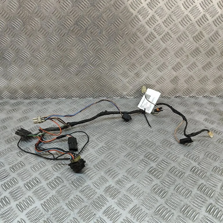 Priekšējo durvju vadu instalācija DC27549A5446