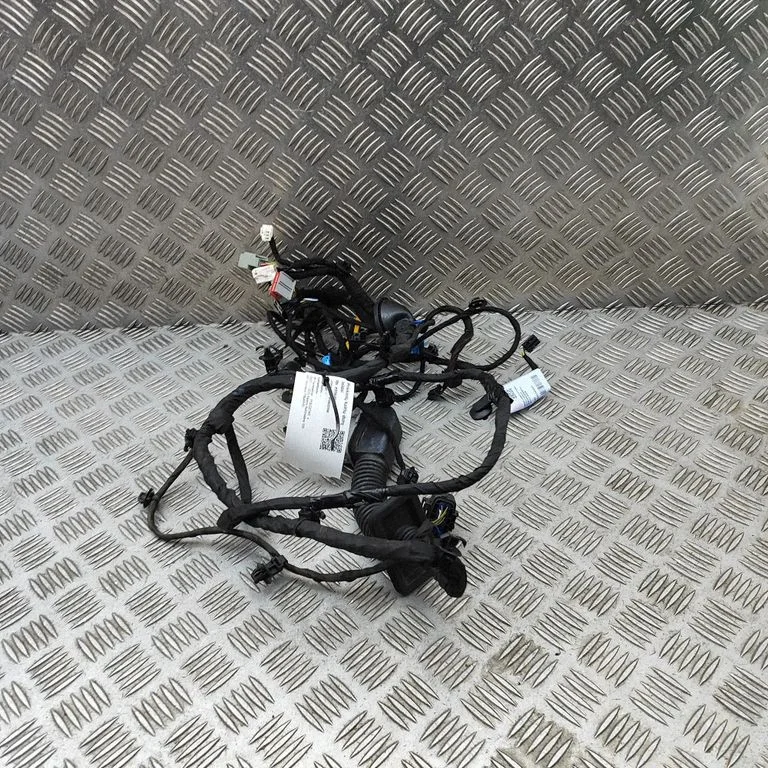 Esiukse juhtmestik 80015541