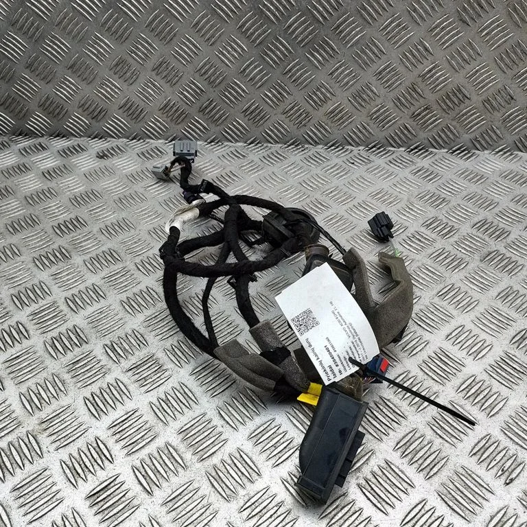 Priekšējo durvju vadu instalācija 31466496AE
