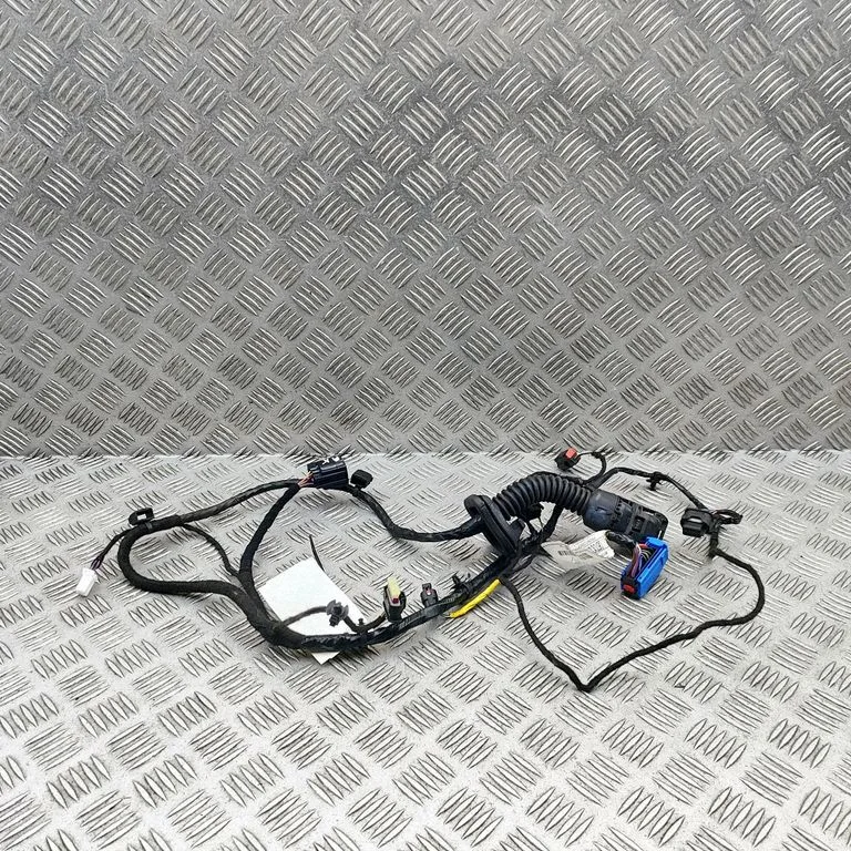 Front door wiring loom 6701013700