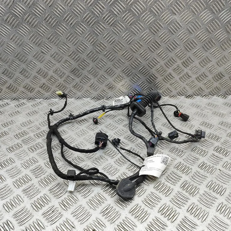 Front door wiring loom 6701013580