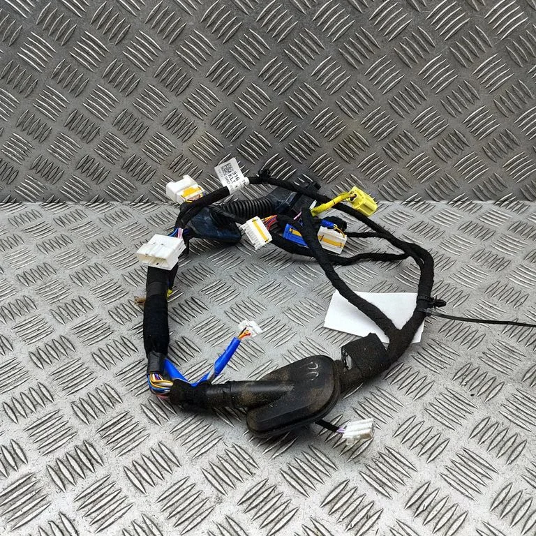 Priekšējo durvju vadu instalācija 91601KL570