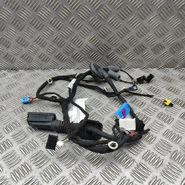 Priekšējo durvju vadu instalācija 567971121GJ