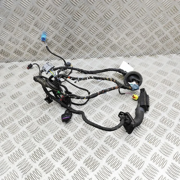 Priekšējo durvju vadu instalācija 8S0971030G