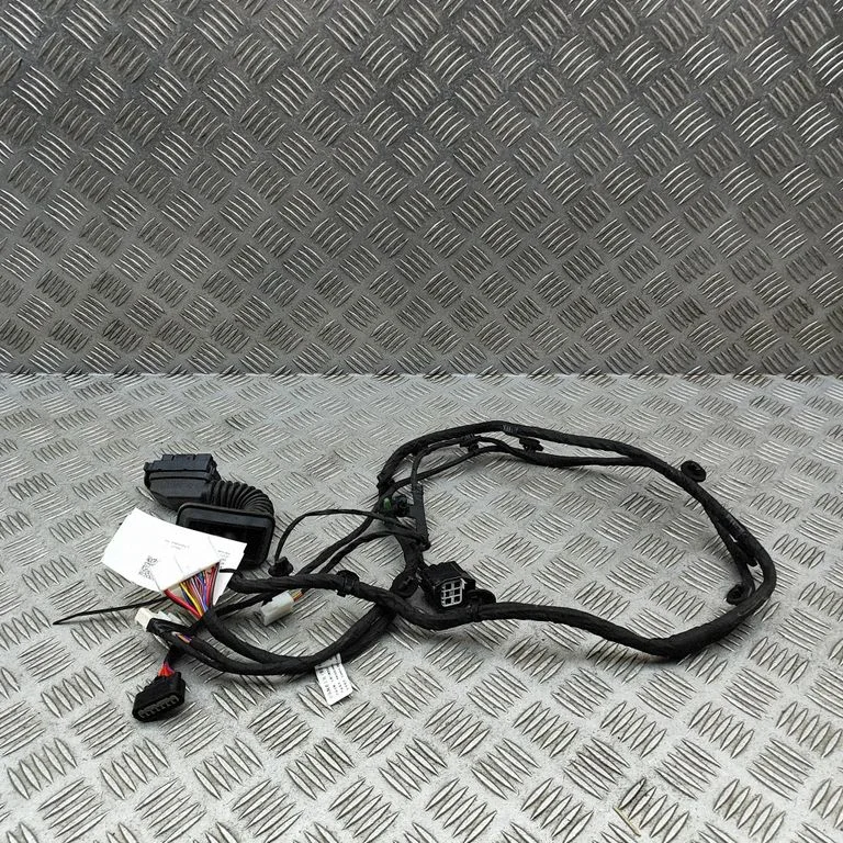 Front door wiring loom 4002201XNW13A – Great Wall Ora 03 (2020-)