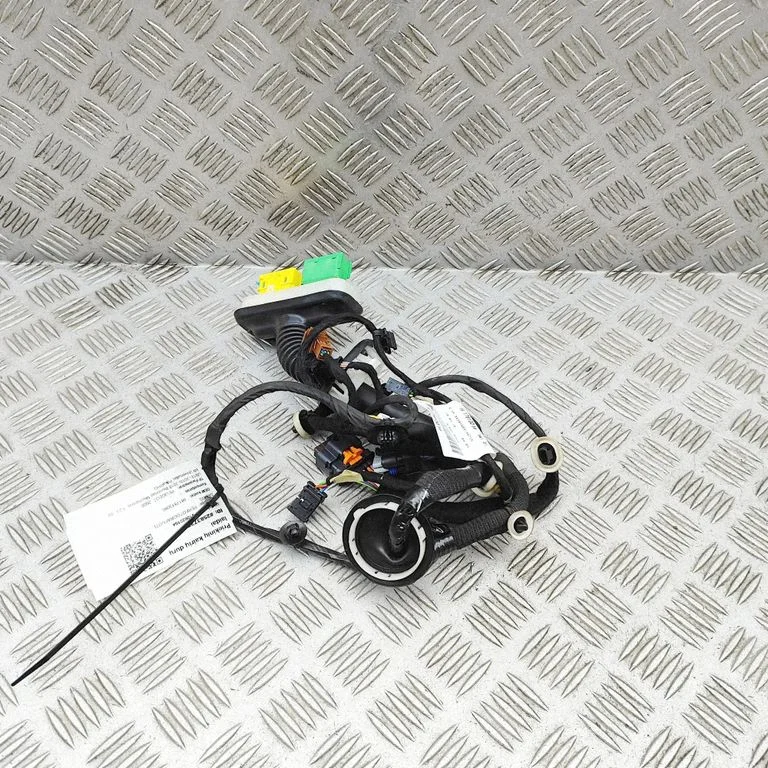 Priekšējo durvju vadu instalācija 9817813080