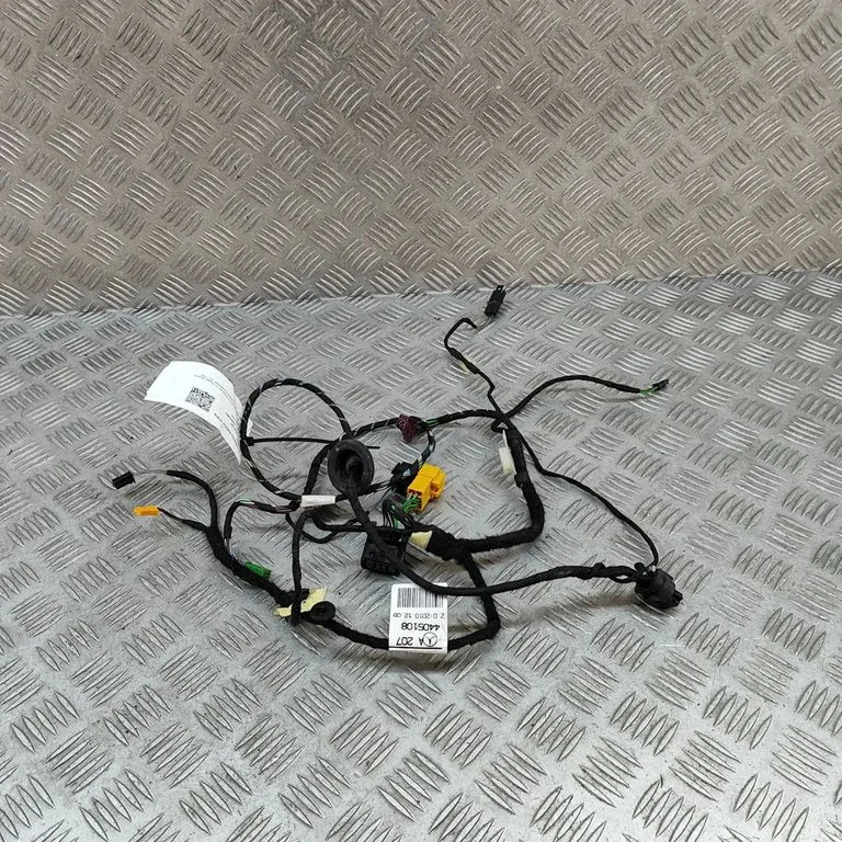 Priekšējo durvju vadu instalācija A2074405108