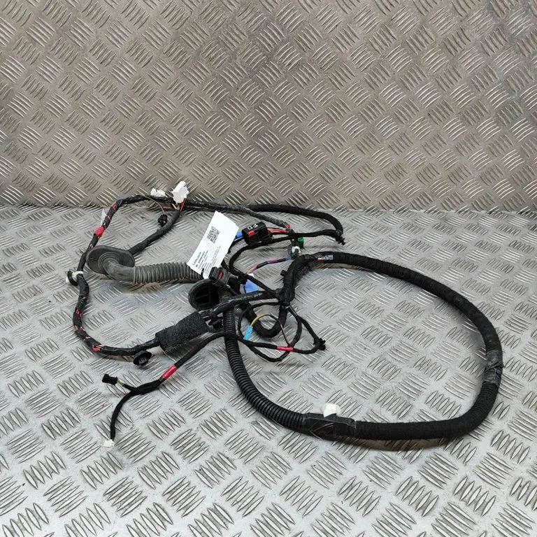 Esiukse juhtmestik 161668604B
