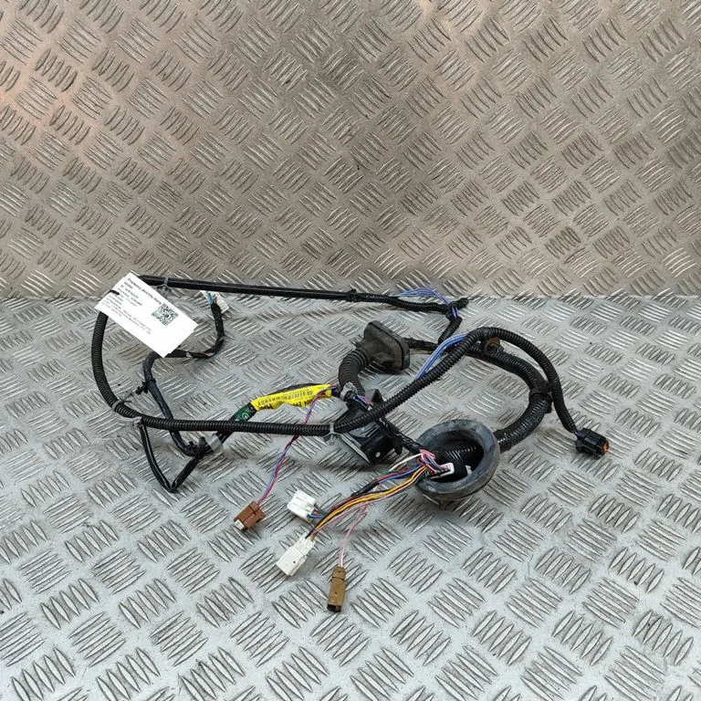 Priekšējo durvju vadu instalācija 24124EV04B