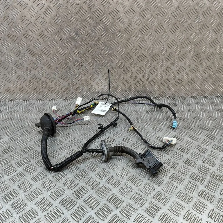 Front door wiring loom 24124CD000