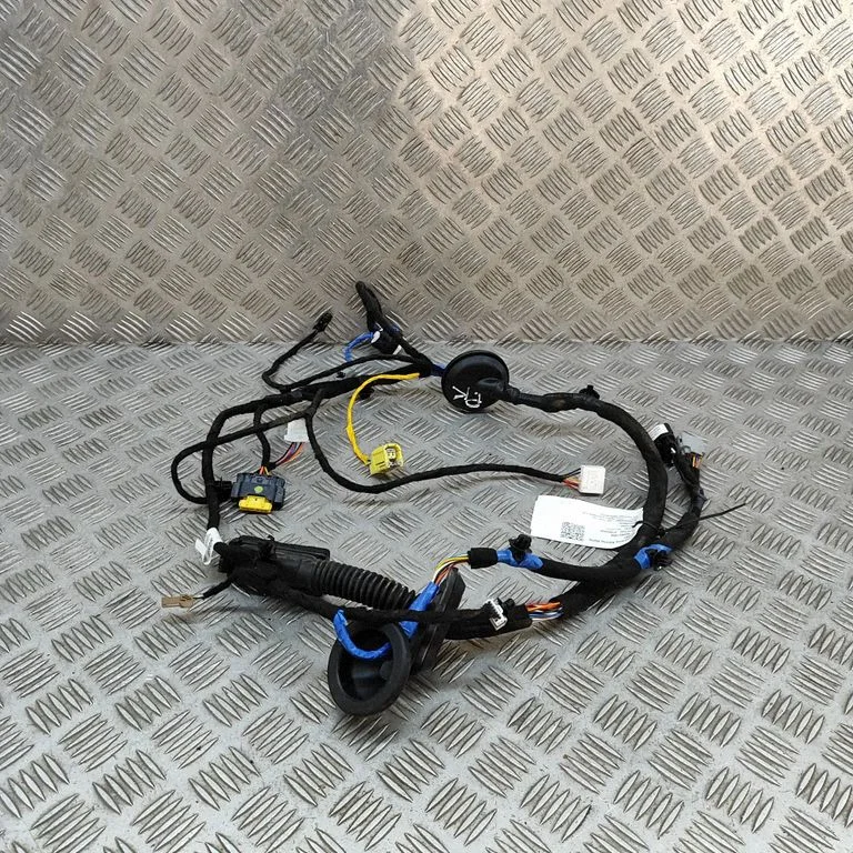 Front door wiring loom 91600CV750A