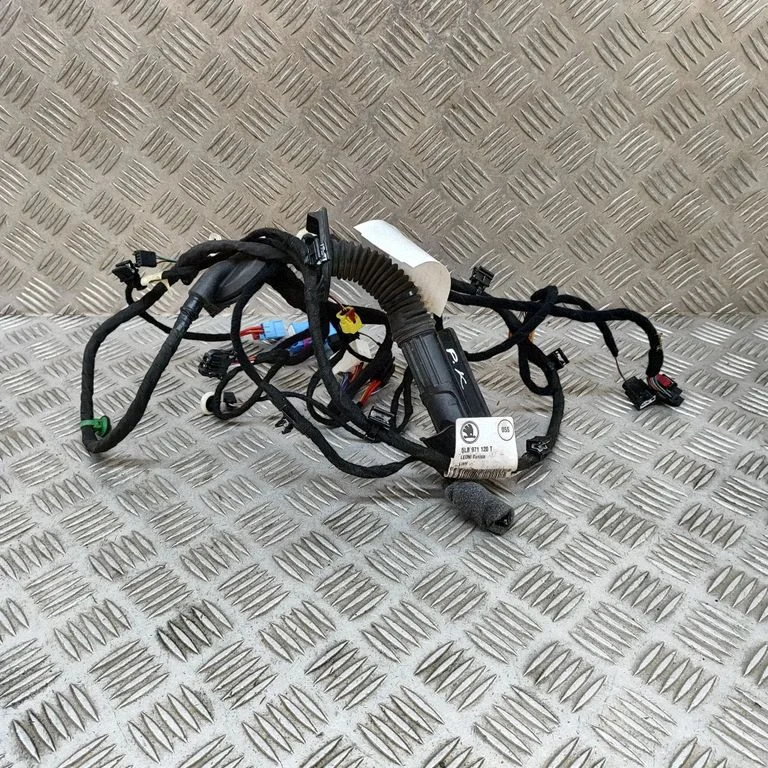 Priekšējo durvju vadu instalācija 5LB971120T