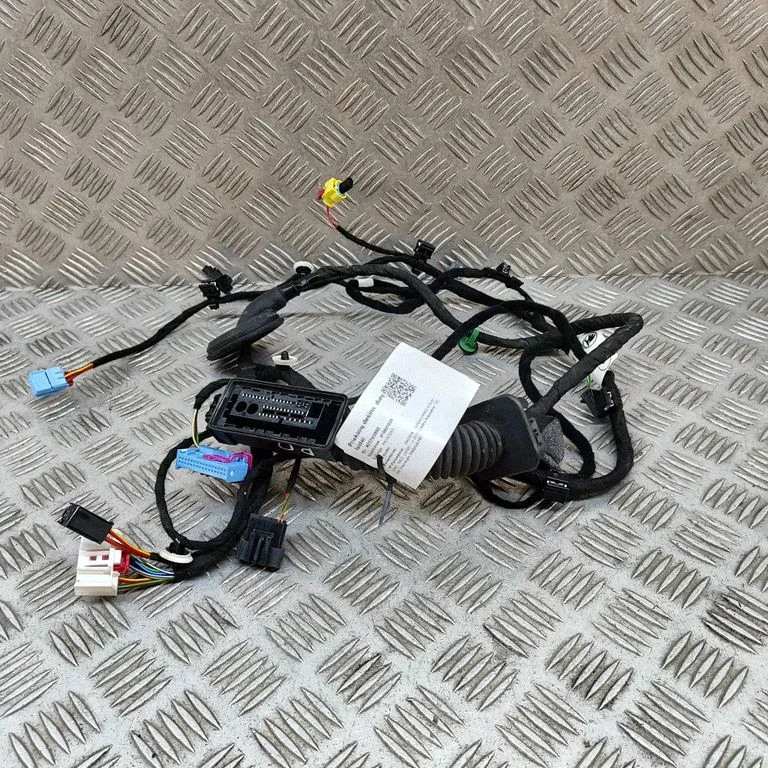 Priekšējo durvju vadu instalācija 5LB971121AG