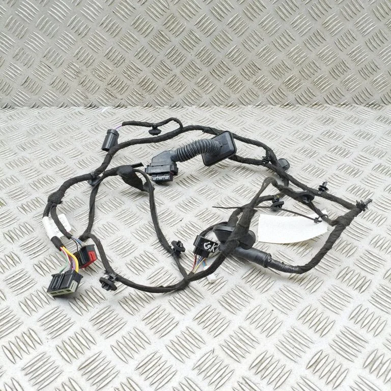 Aizmugurējo durvju vadu instalācija P8894544466