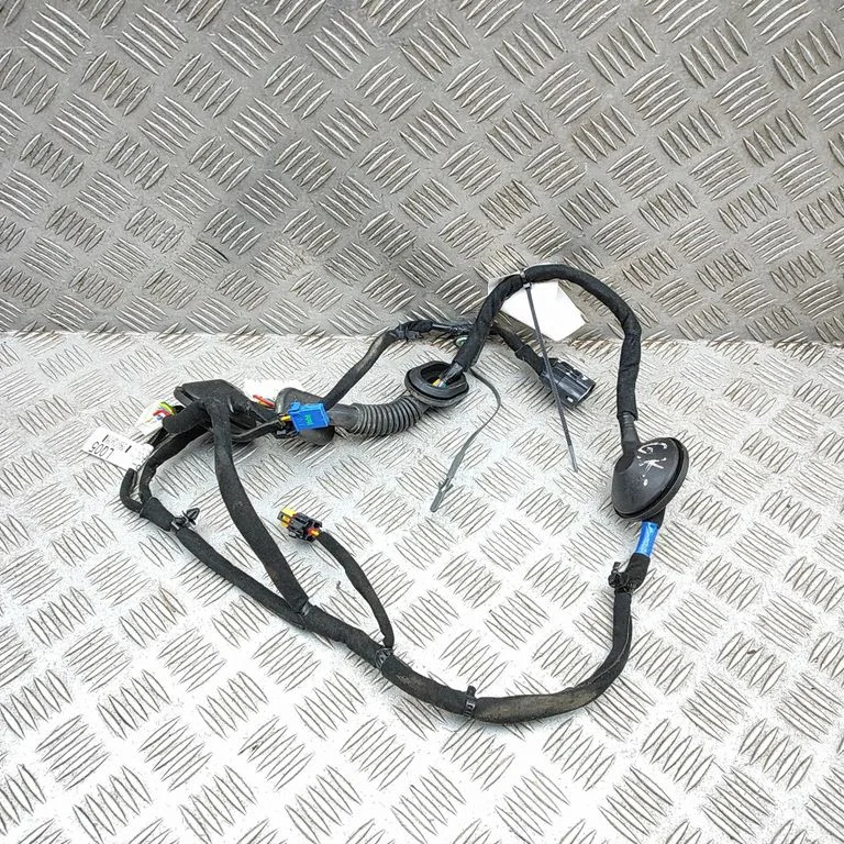 Aizmugurējo durvju vadu instalācija 91620Q4050R