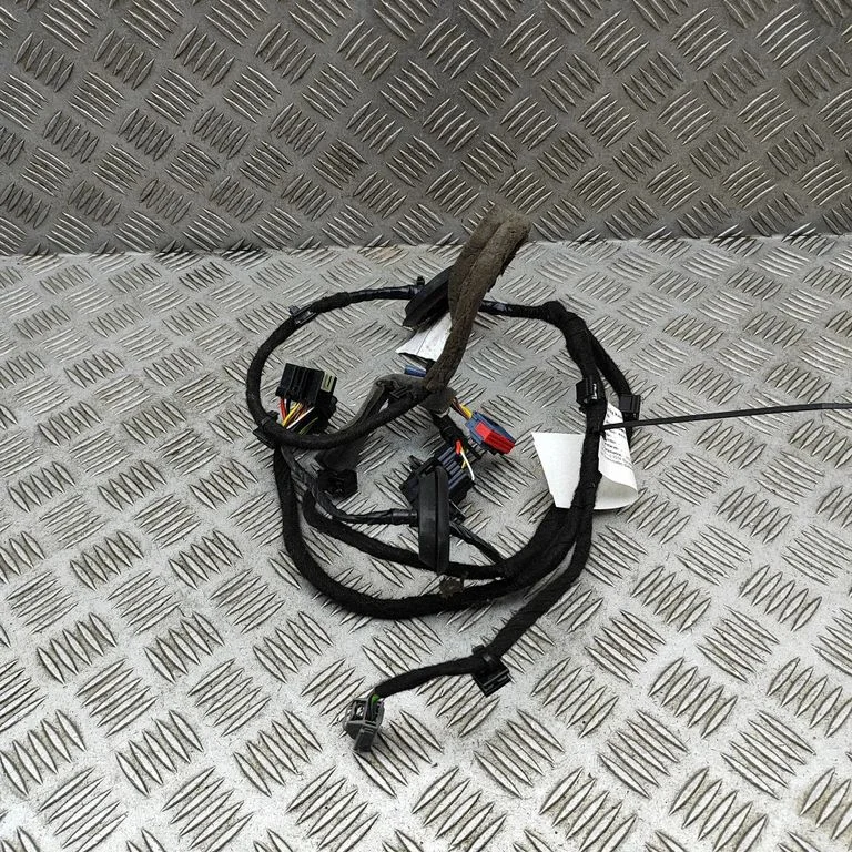 Aizmugurējo durvju vadu instalācija 31676179AC