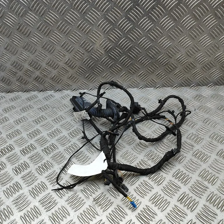 Rear door wiring loom – BMW 6 Series F06 Gran coupe (2012-2018)