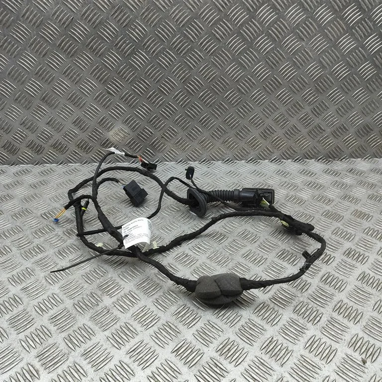 Rear door wiring loom 5A5B6E1