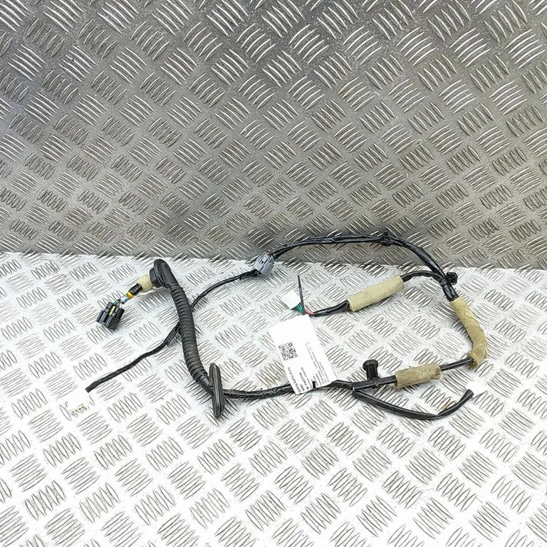 Rear door wiring loom 81823VA051