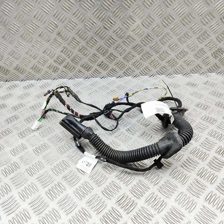 Aizmugurējo durvju vadu instalācija A2475409509