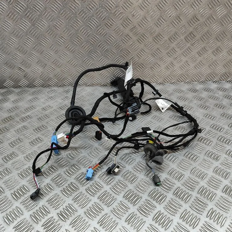 Priekšējo durvju vadu instalācija 5LB971120AQ